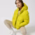 Lime Flash