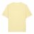 Lemon Sorbet