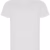 White 01